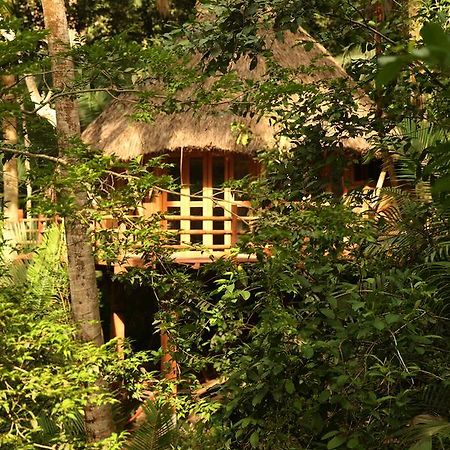 Aldea Bamboo Village San Francisco  Dış mekan fotoğraf
