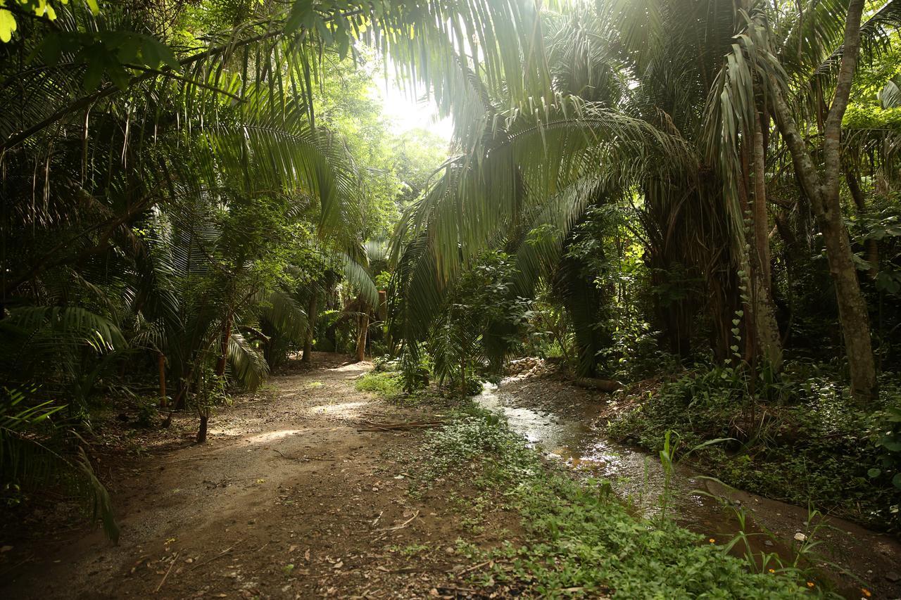 Aldea Bamboo Village San Francisco  Dış mekan fotoğraf