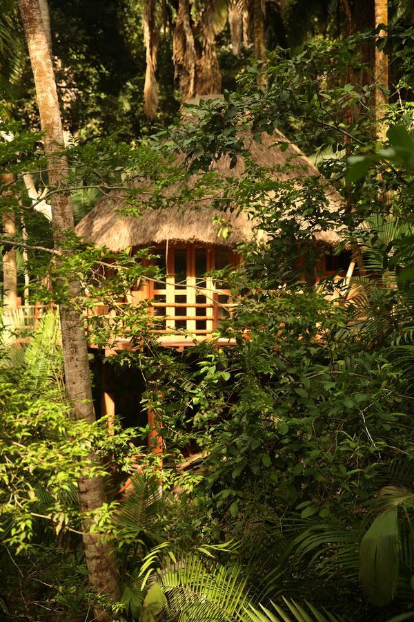 Aldea Bamboo Village San Francisco  Dış mekan fotoğraf